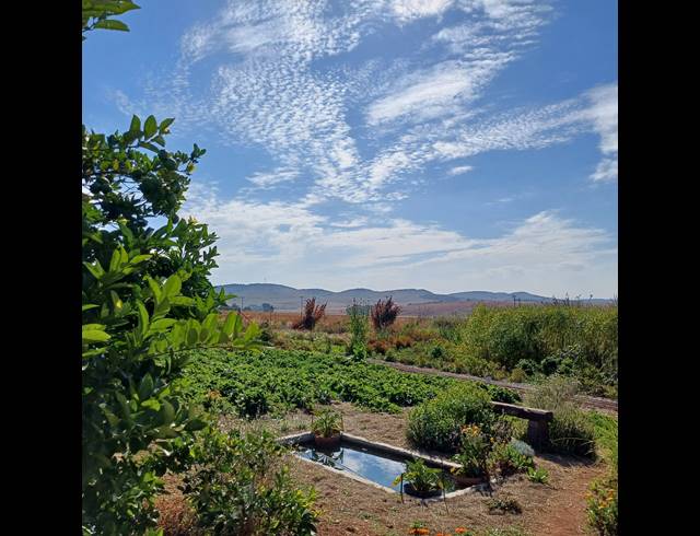 8.50HA FARM FOR SALE IN NOOITGEDACHT AH